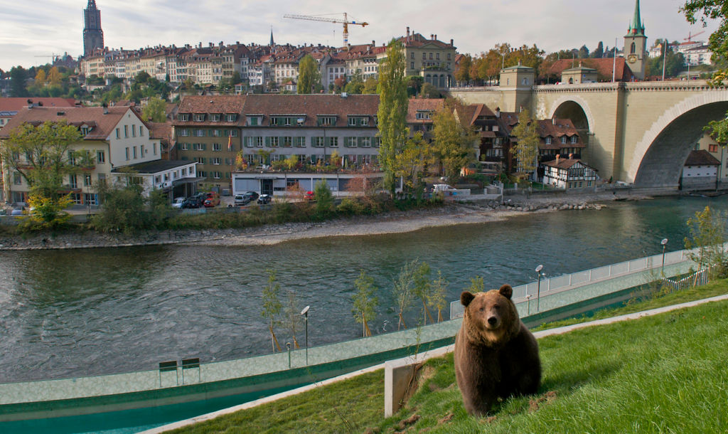 Berna, il parco degli orsi