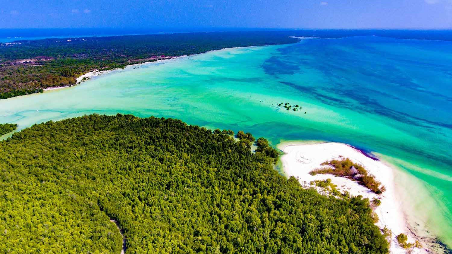 Isola di Pemba, nell'arcipelago di Zanzibar