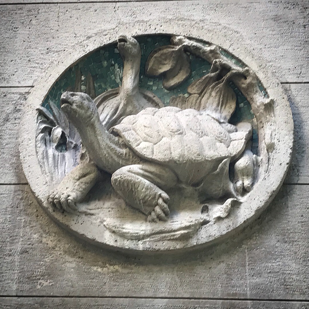 Completa la schiera degli animali marini decorativi questa elegante tartaruga sulla facciata dell'Acquario Civico di Milano