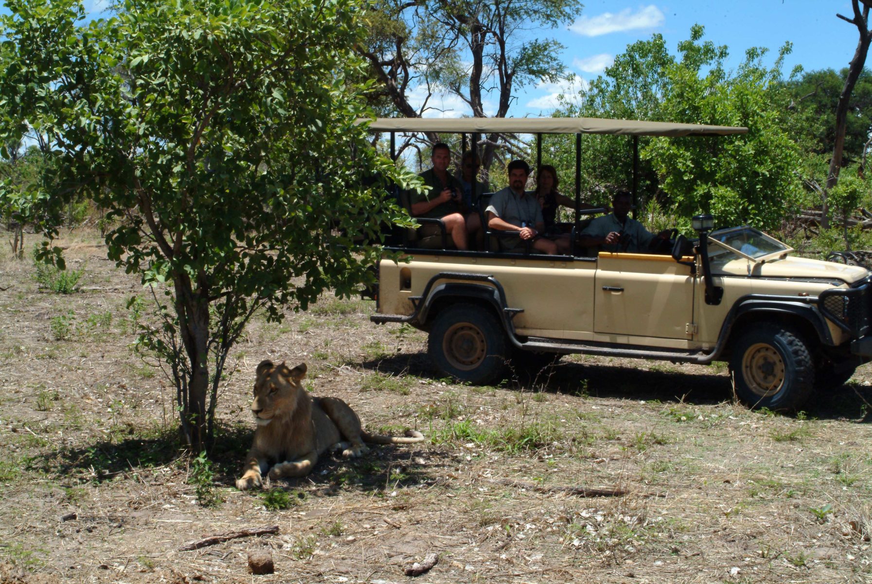 Safari nella Linyanti Wildlife Reserve