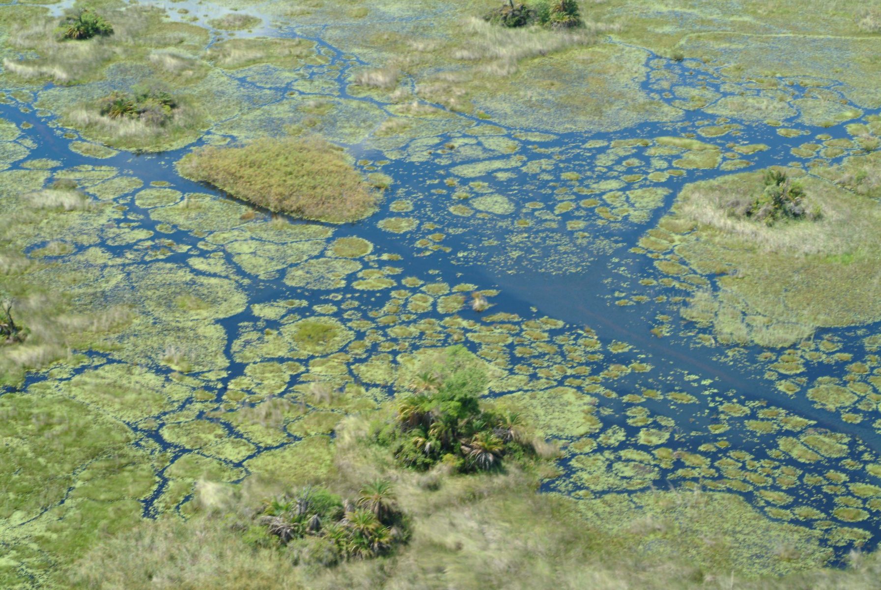 Il Delta dell'Okavango visto dall'alto