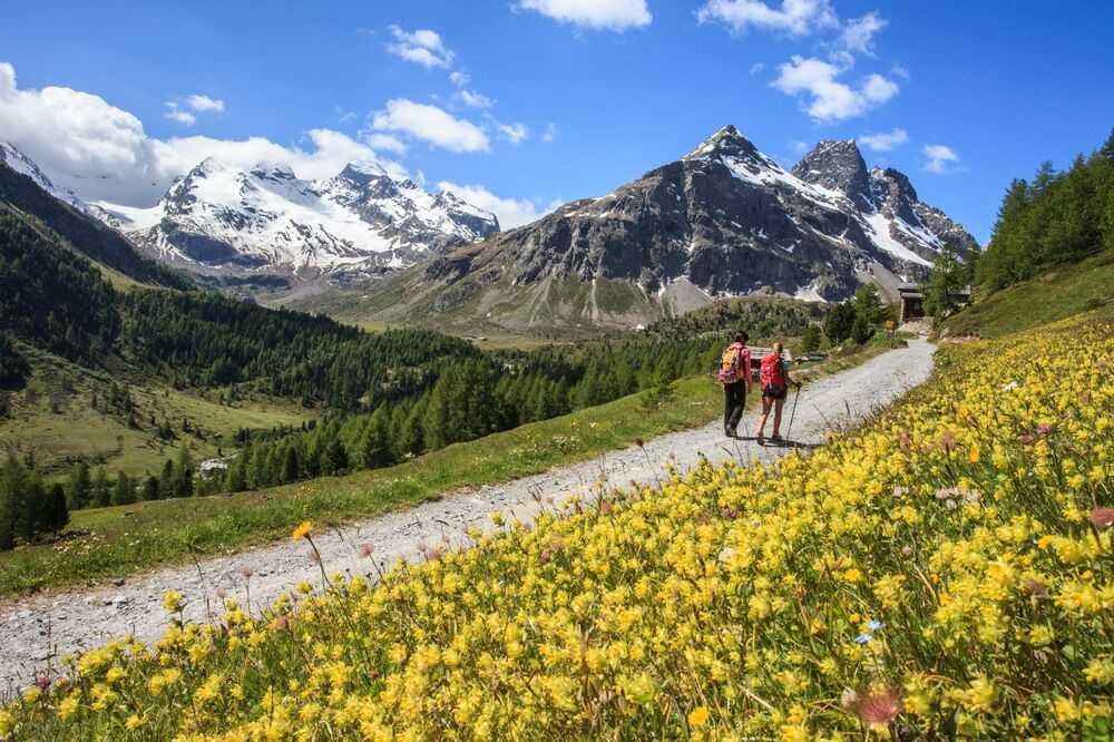 Escursionismo in Val Viola, in Alta Valtellina