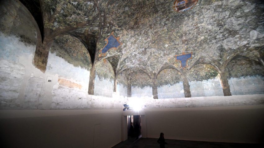 Sala delle Asse, Castello Sforzesco