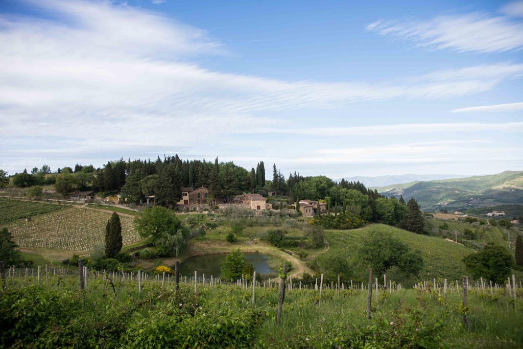 Vecchie Terre di Montefili, panorama