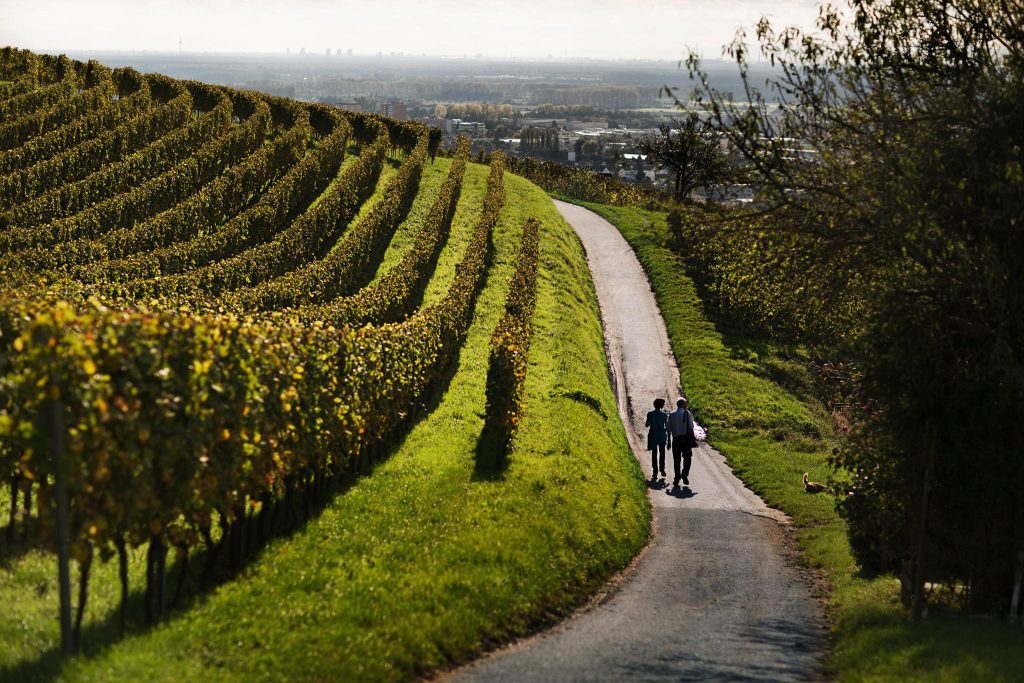 Slow tourism in Germania