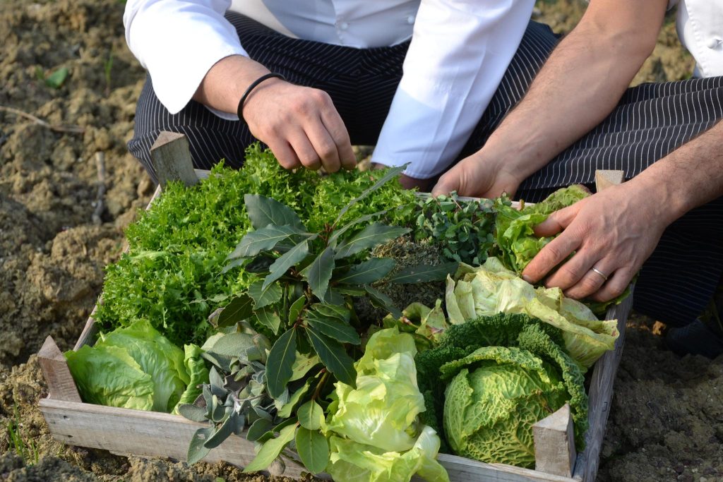 L'agricoltura biologica di Palazzo di Varignana