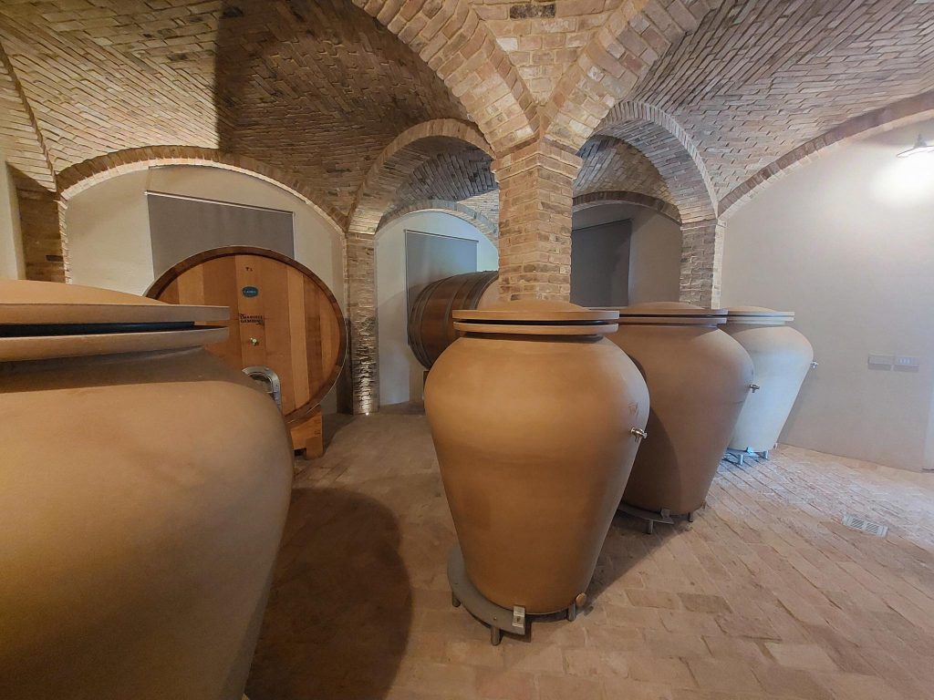 Visita alle cantine di Emanuele Gambino