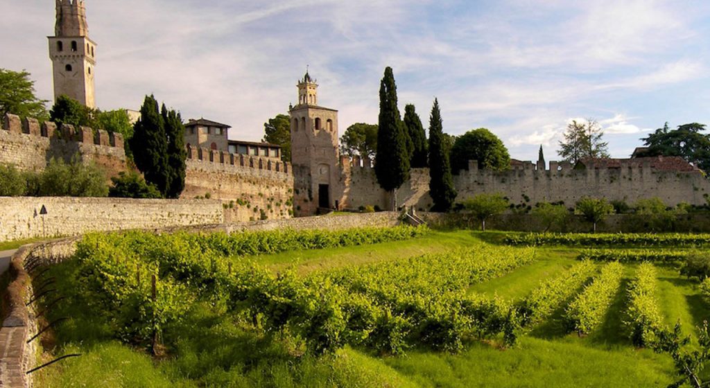 I vigneti Collalto e il castello San Salvatore