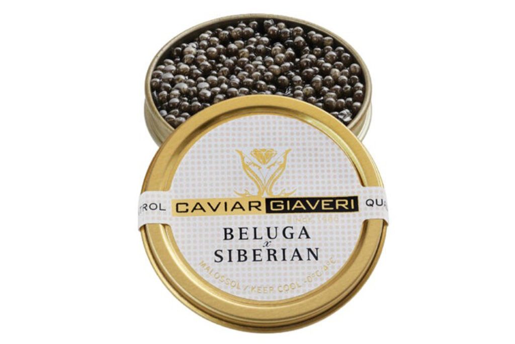 Caviale Beluga Siberian di Caviar Giavieri